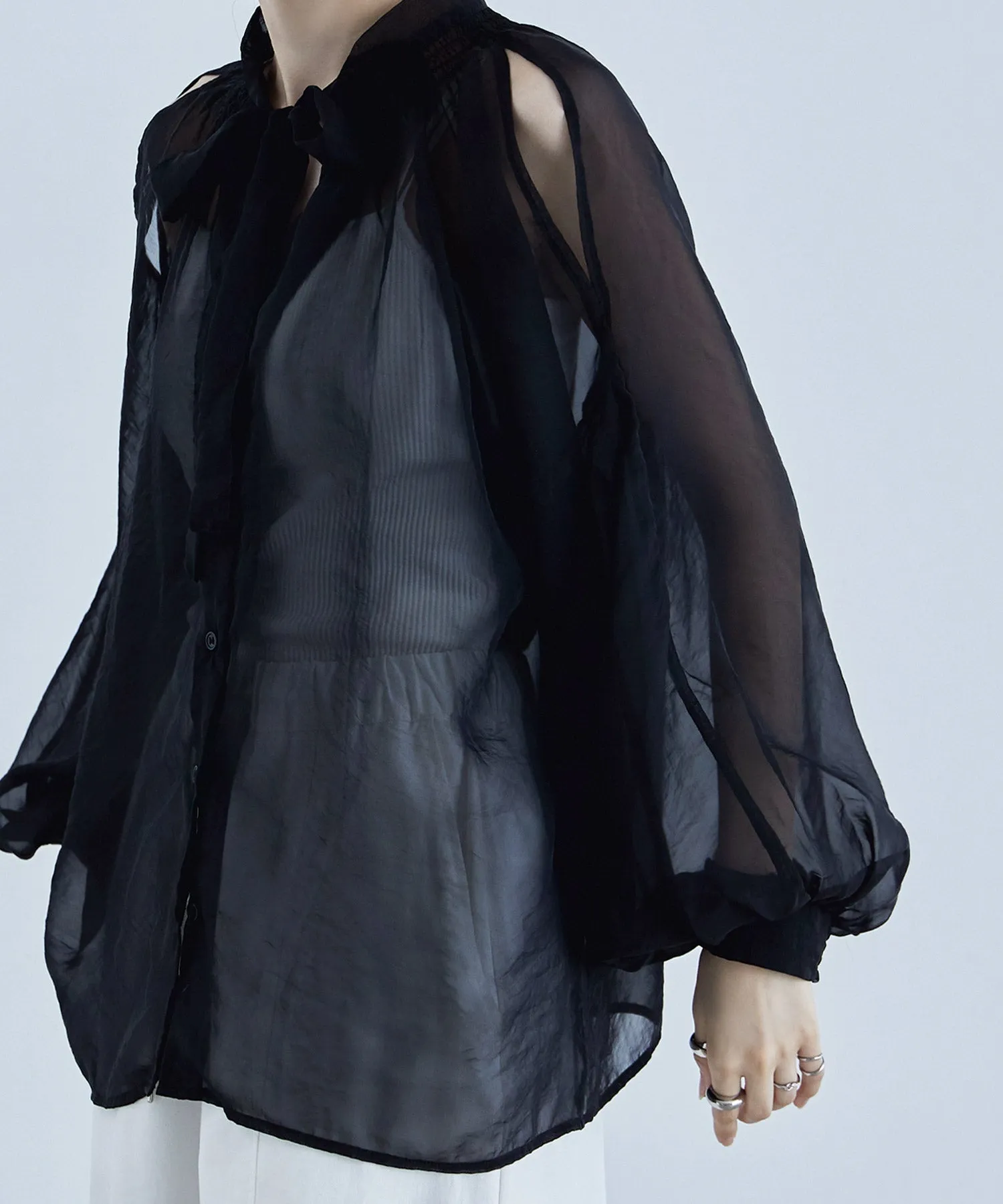 2way bowtie sheer blouse