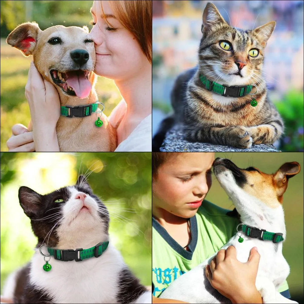 Adjustable Anti Flea Collar Strap