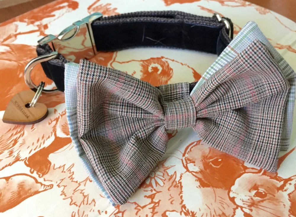 Barnaby Bow Tie Designer Dog Collar