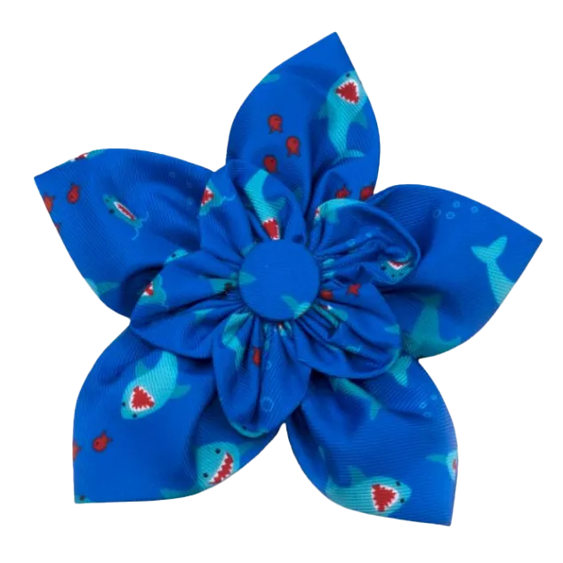 Collar Flower | Chomp Sharks