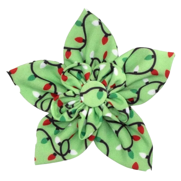 Collar Flower | Lit