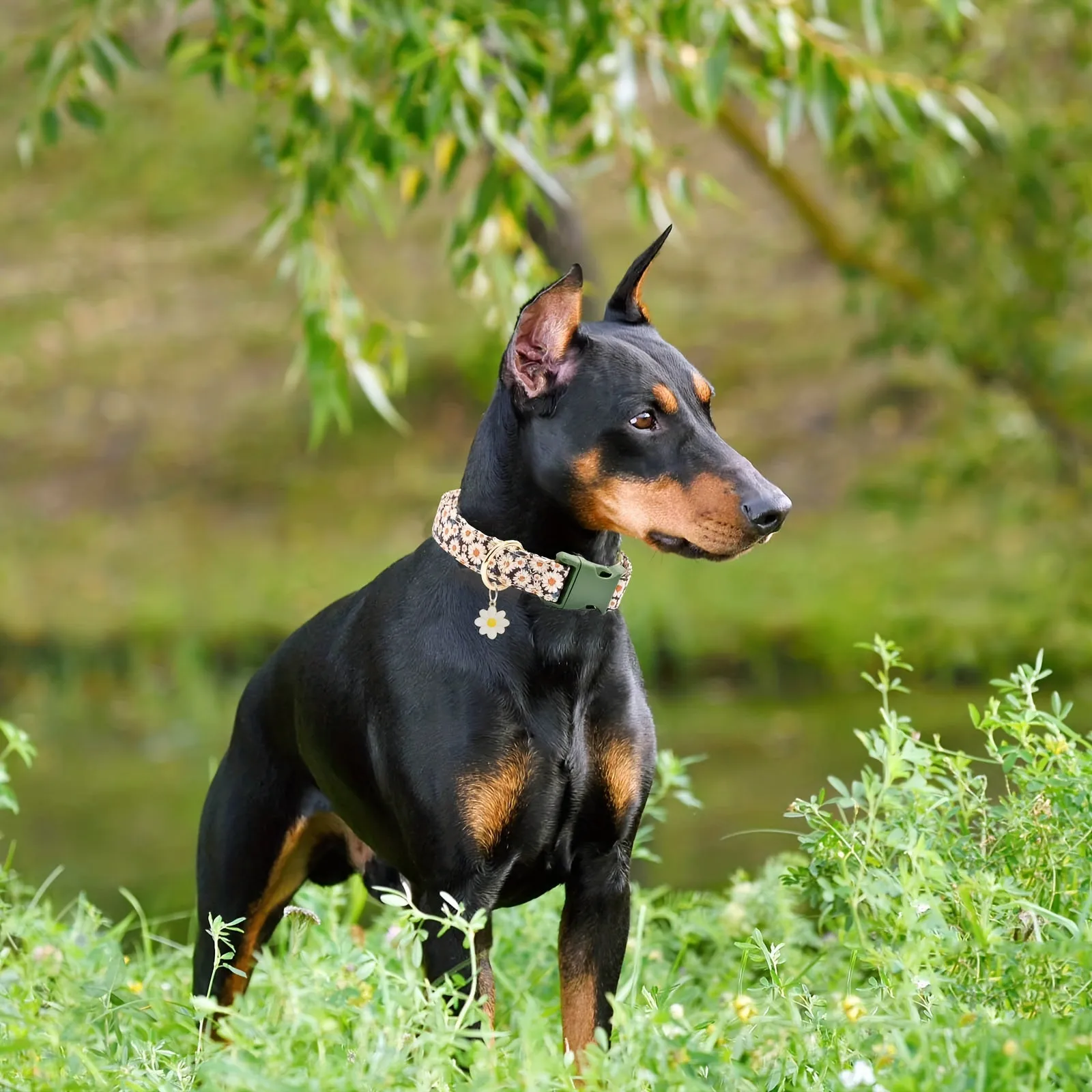 Daisy Patterned Dog Collar Cute Soft and Adjustable