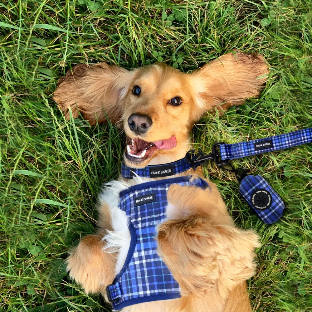 Dog Collar