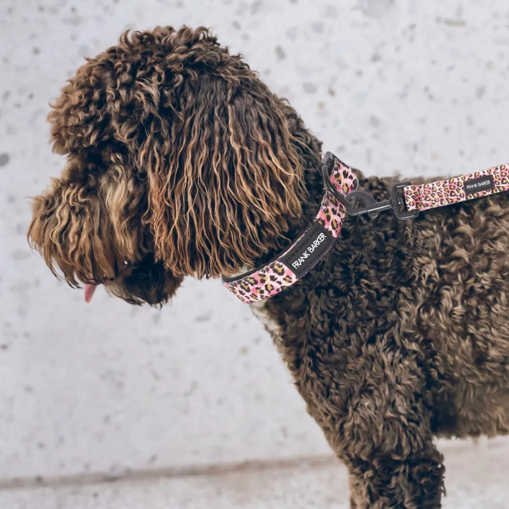 Dog Collar