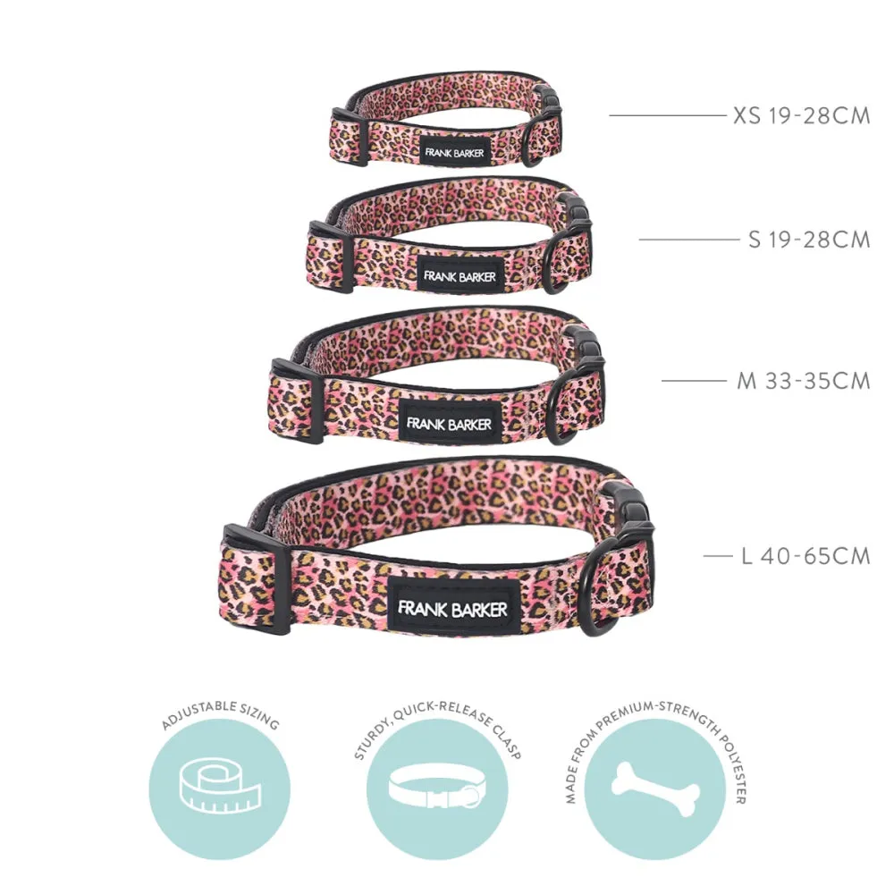 Dog Collar