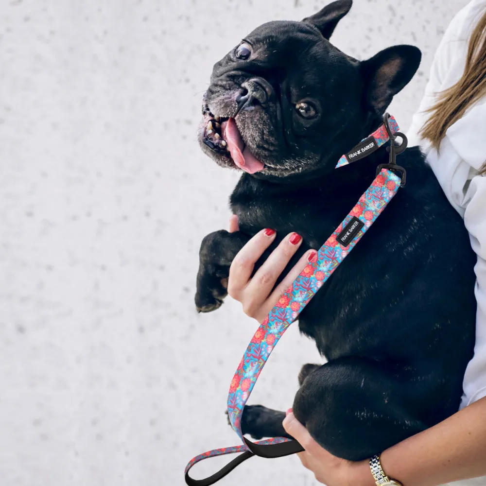 Dog Collar