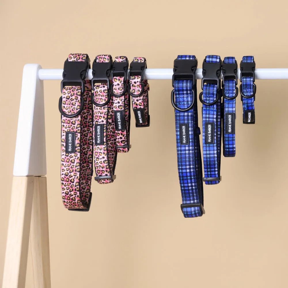 Dog Collar