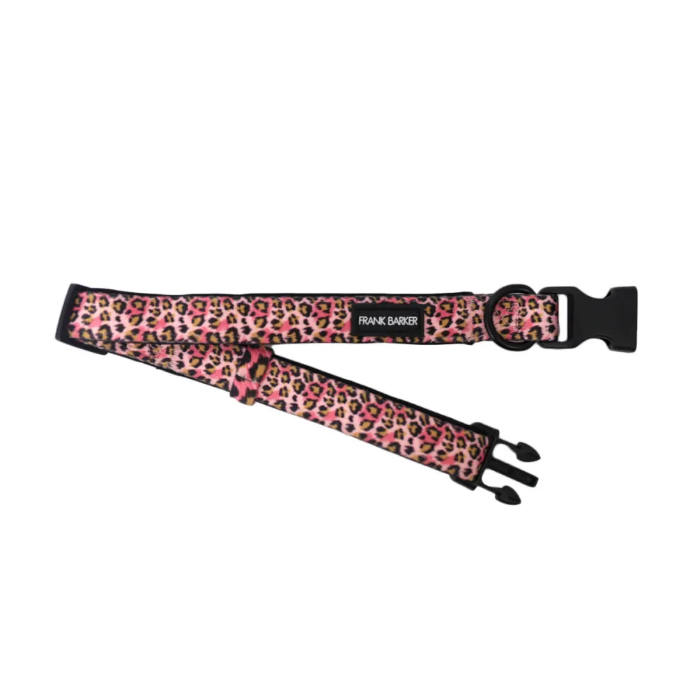 Dog Collar