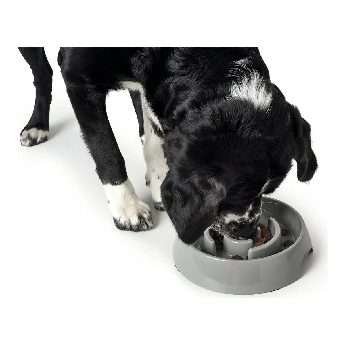 Dog Feeder by Hunter Melamin 550 Ml