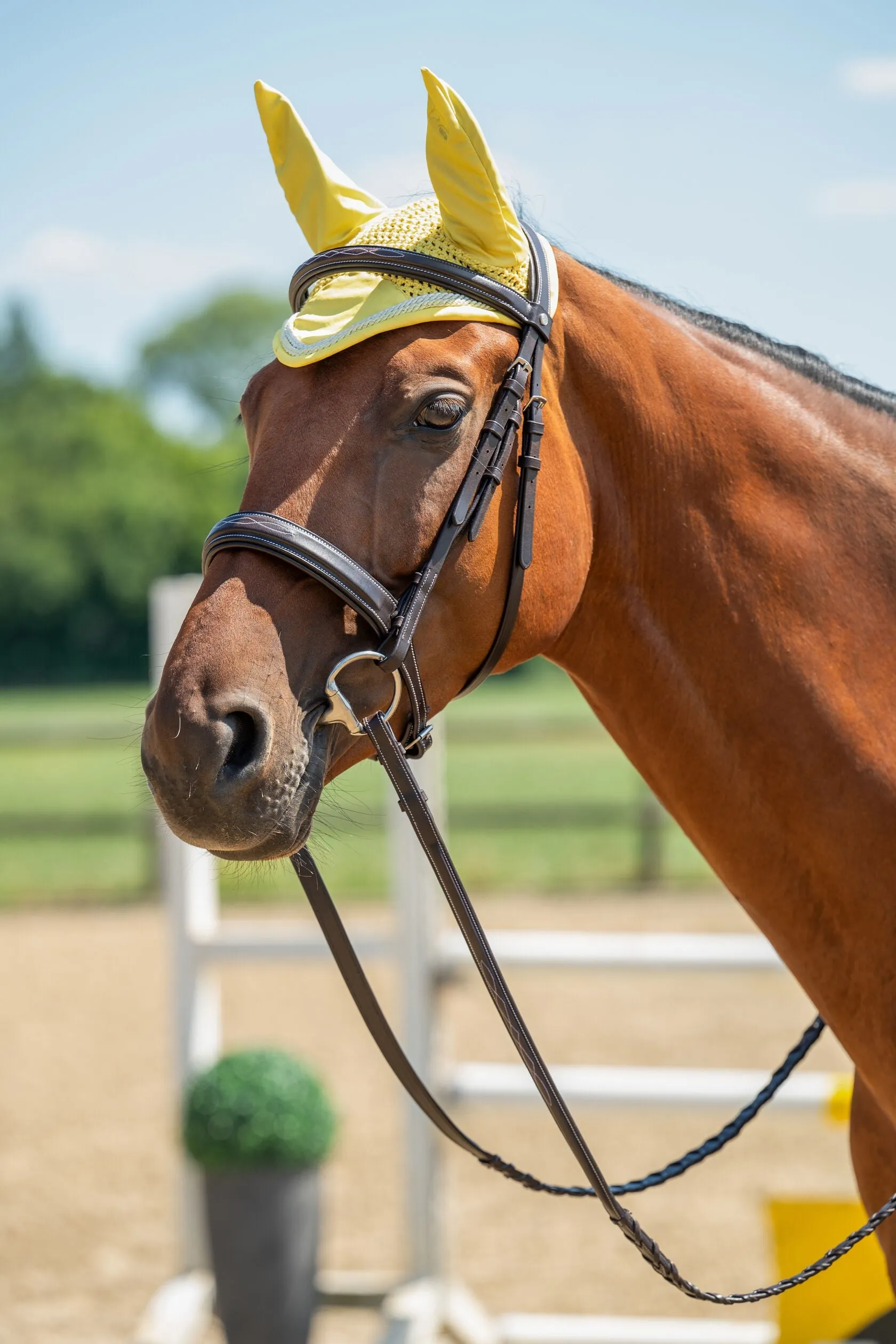 Ear Bonnet Essentials