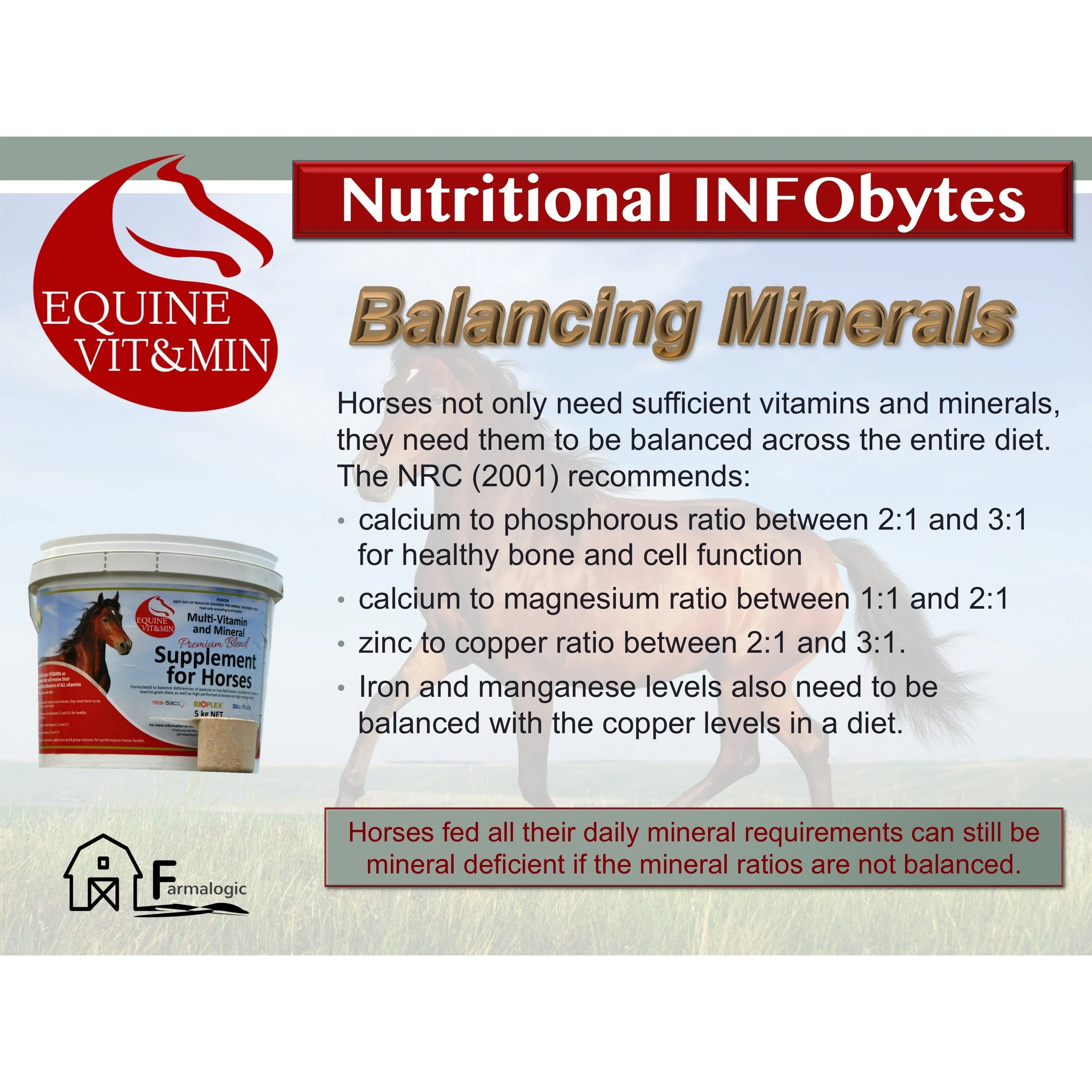 Farmalogic Equine Vit&Min Premium Blend