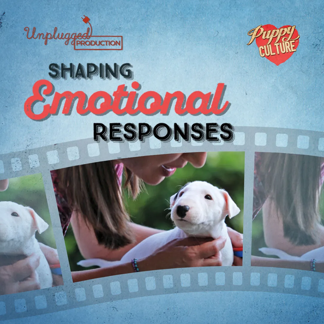 Full Power of Puppy Culture for Singletons – Show Package