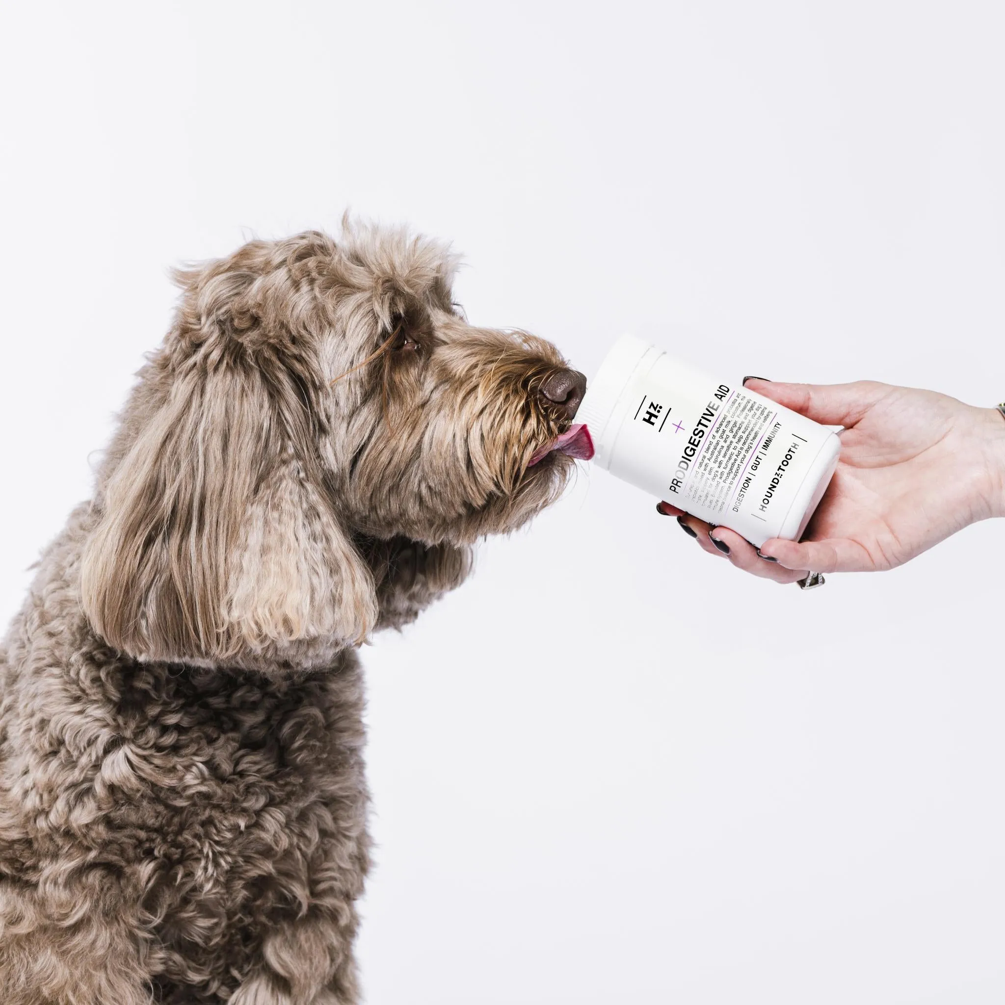 Houndztooth Dog Prodigestive Aid Supplement 200g