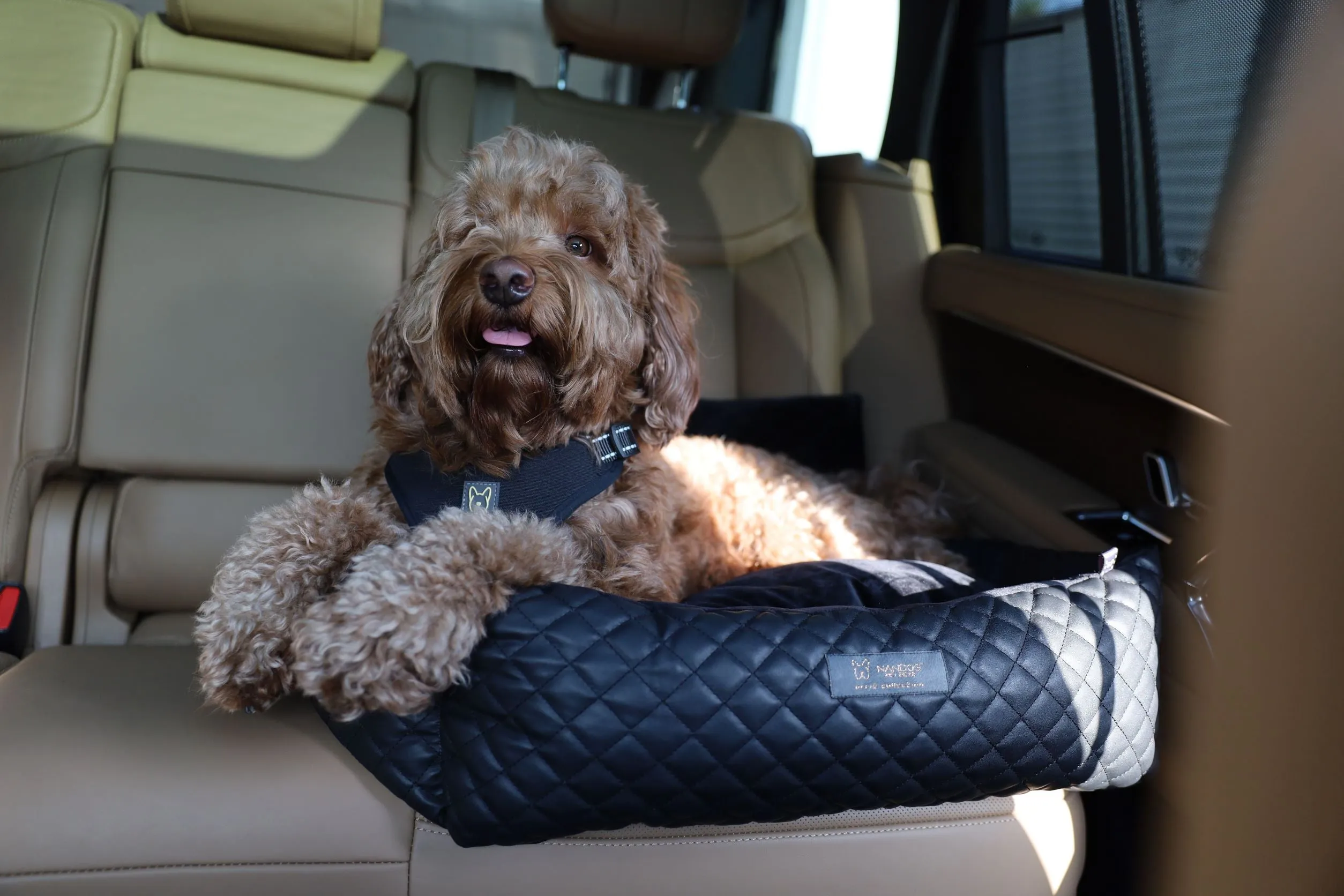 Medium Dog Car Seat Black Leather
