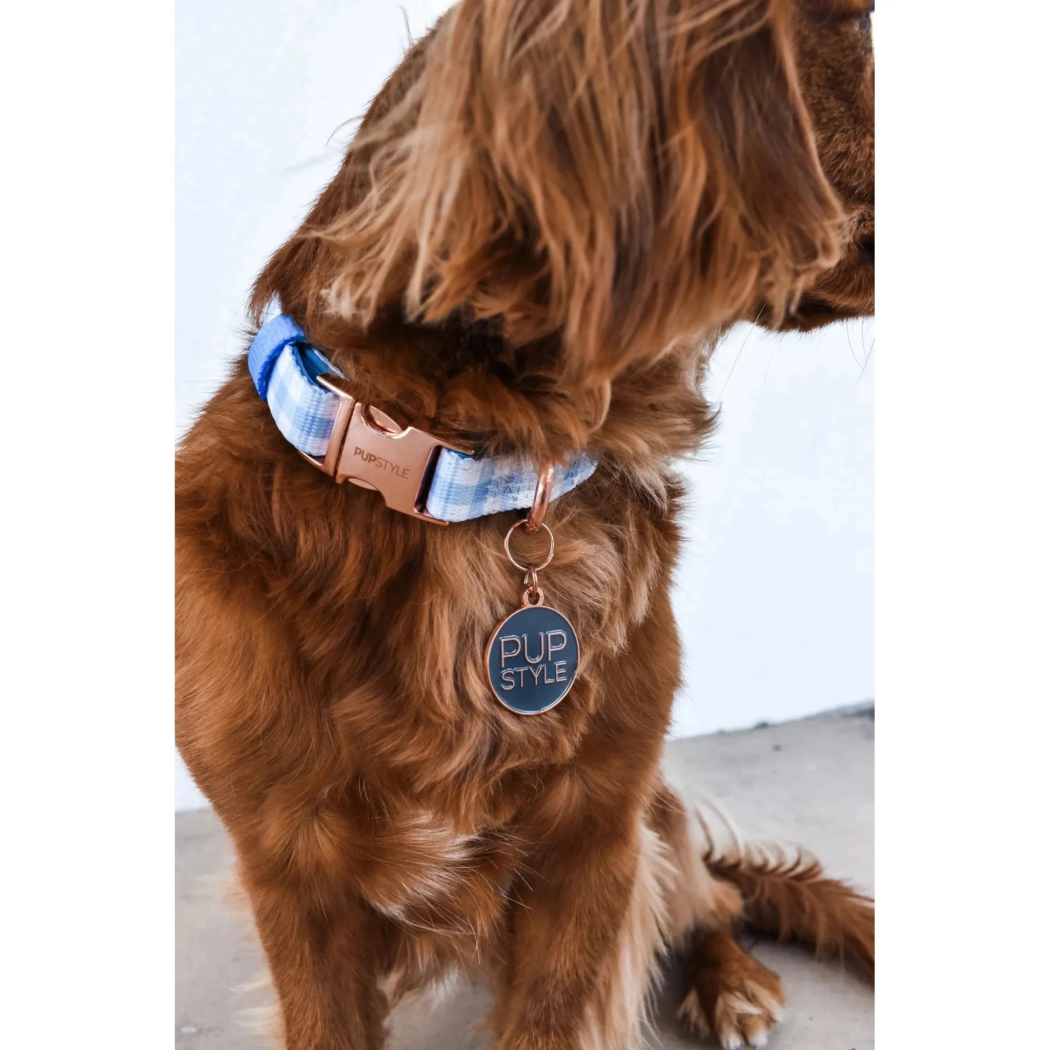 Pupstyle Suburban Collection Blueberry Muffin Dog Collar Extra Small