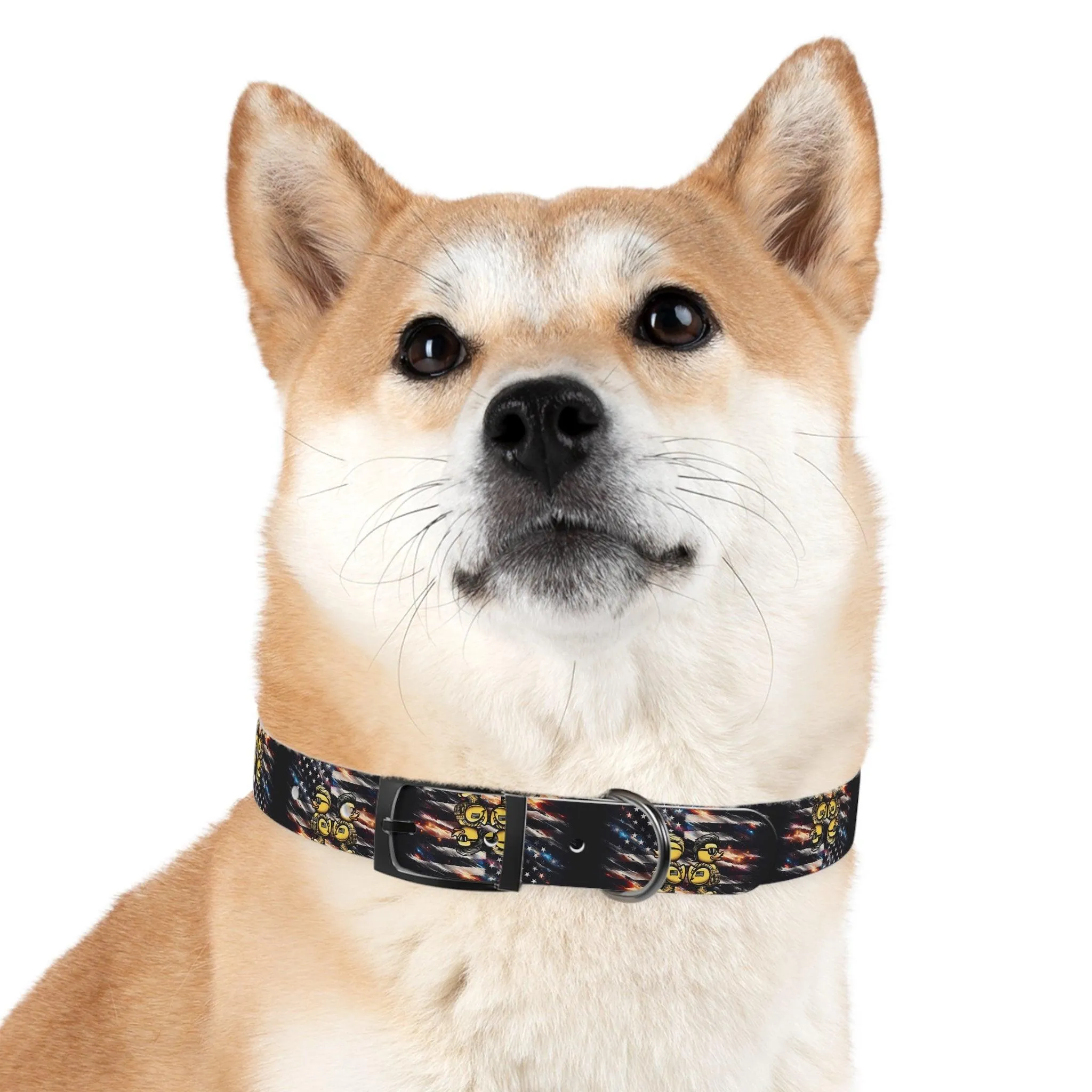Quack Attack Dog Collar 🦆💥🐶