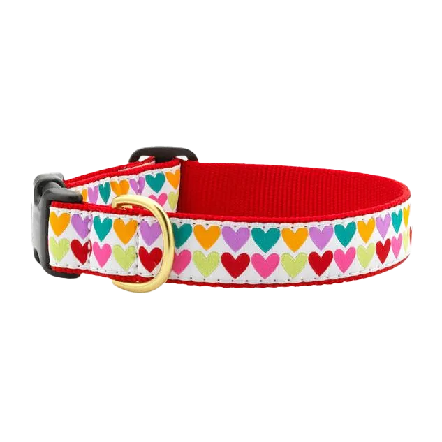 Teacup Collar | Pop Hearts