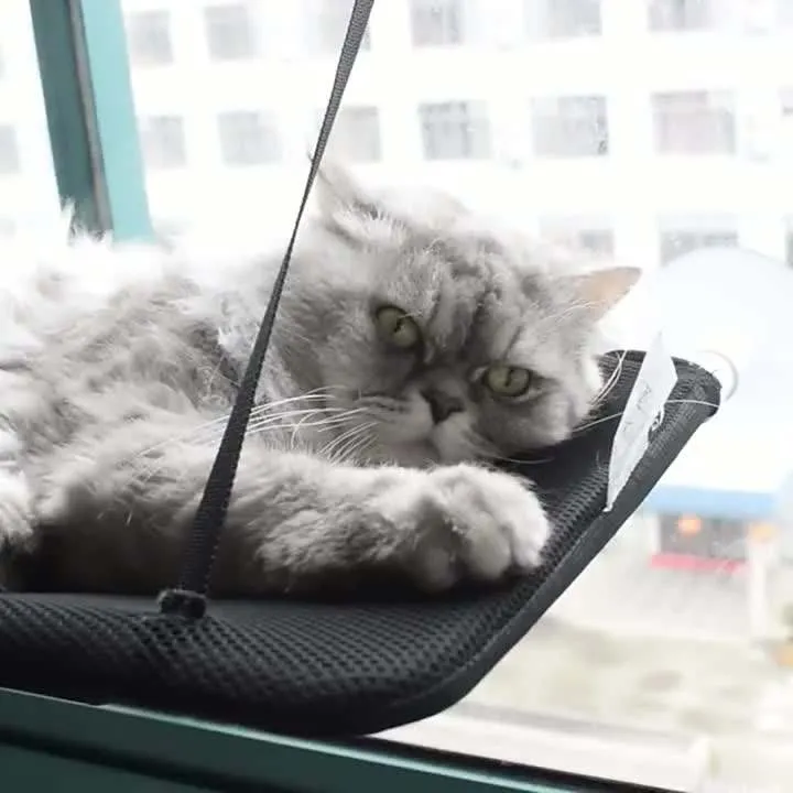Universal Cat Hammock Removable Suction Cup -Cat Suspended Bed